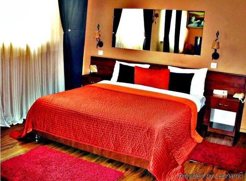 Art-Rustic Boutique Hotel Chisinau Bilik gambar