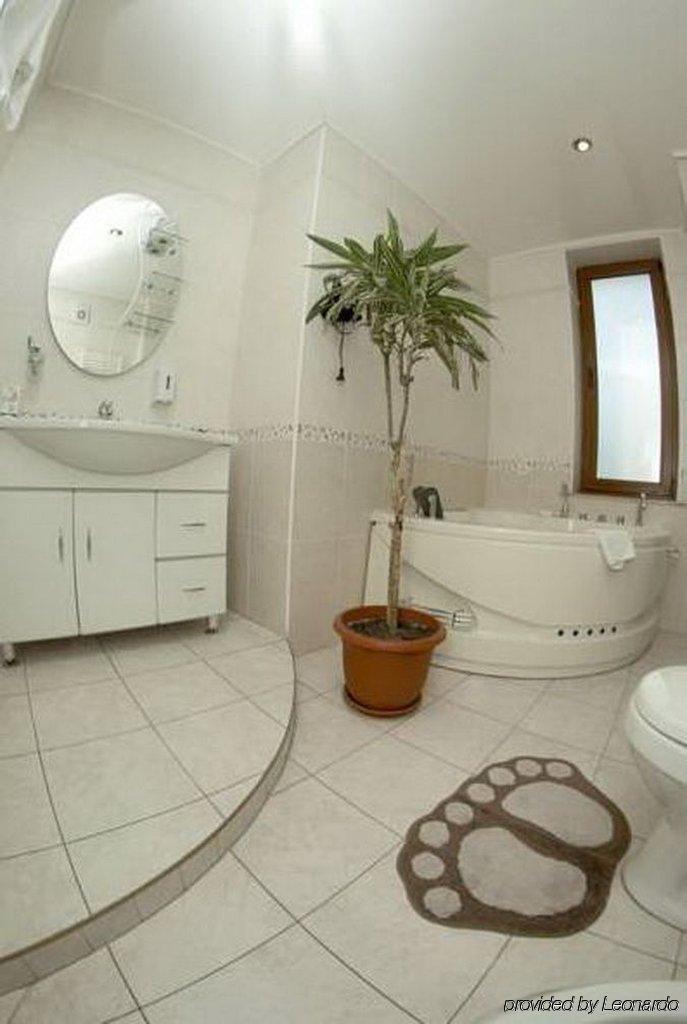 Art-Rustic Boutique Hotel Chisinau Bilik gambar