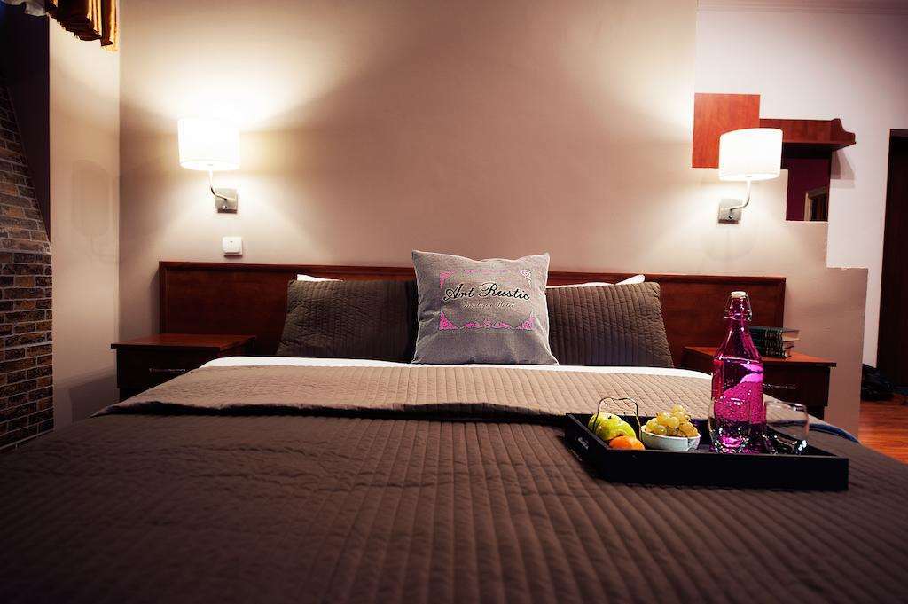 Art-Rustic Boutique Hotel Chisinau Bilik gambar
